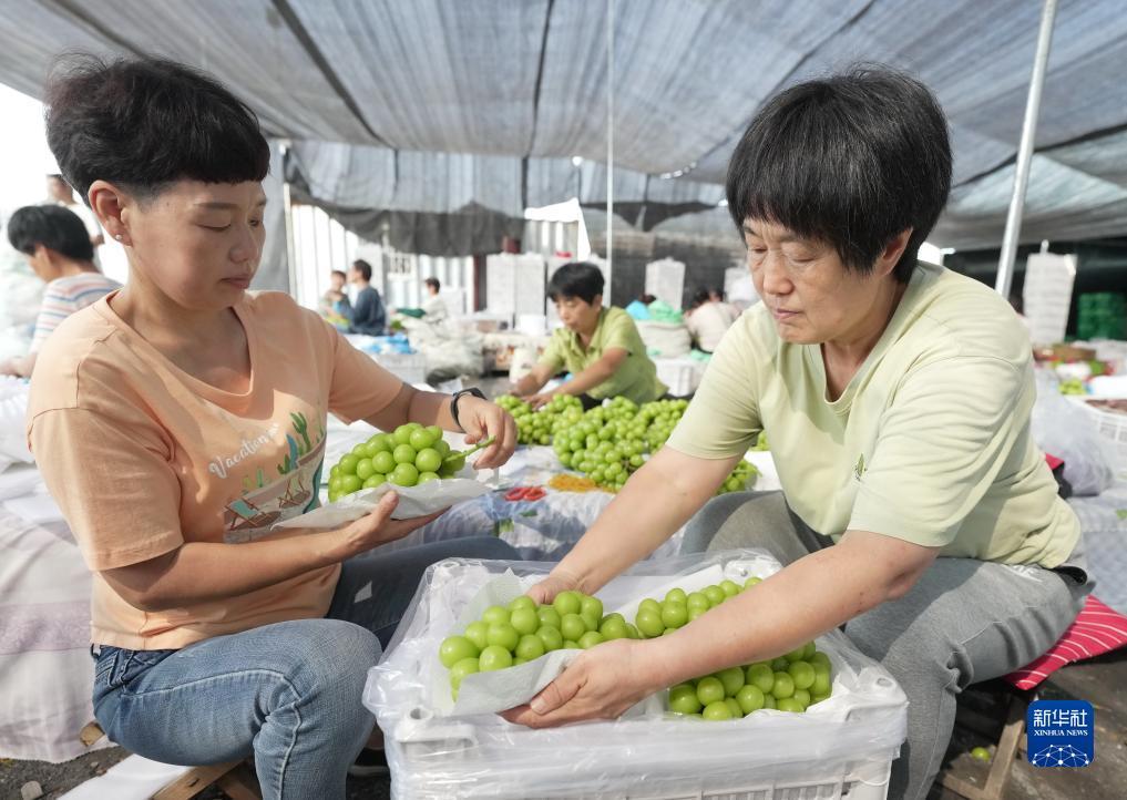 赌博线上开户